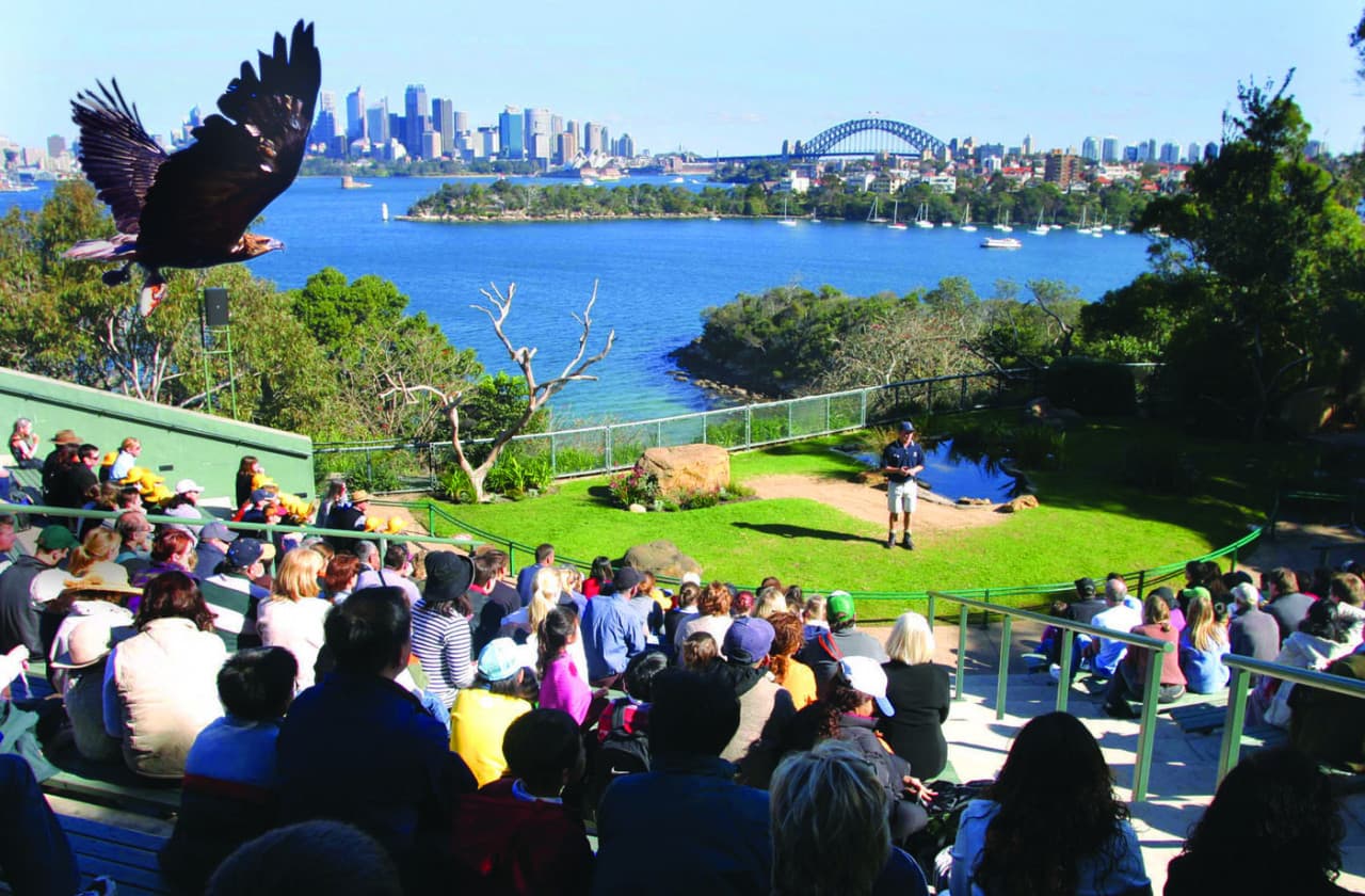 Captain Cook Sydney Harbour Explorer Hop-on Hop-off Cruise - image 7